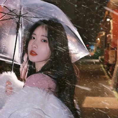 完美的主人
